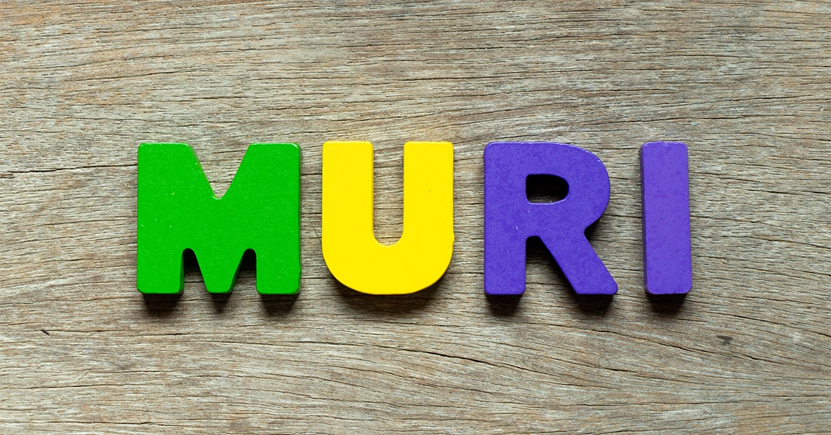 MURI
