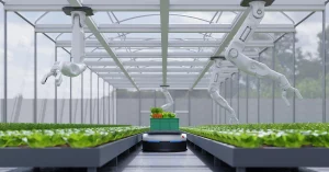 Mô hình sản xuất nông nghiệp