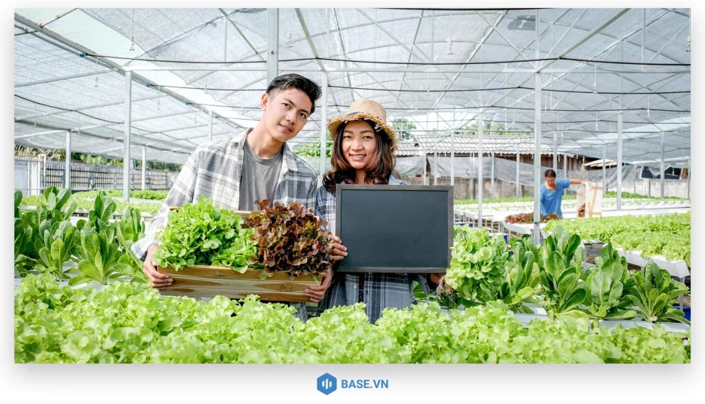 Định nghĩa mô hình sản xuất nông nghiệp hiện đại