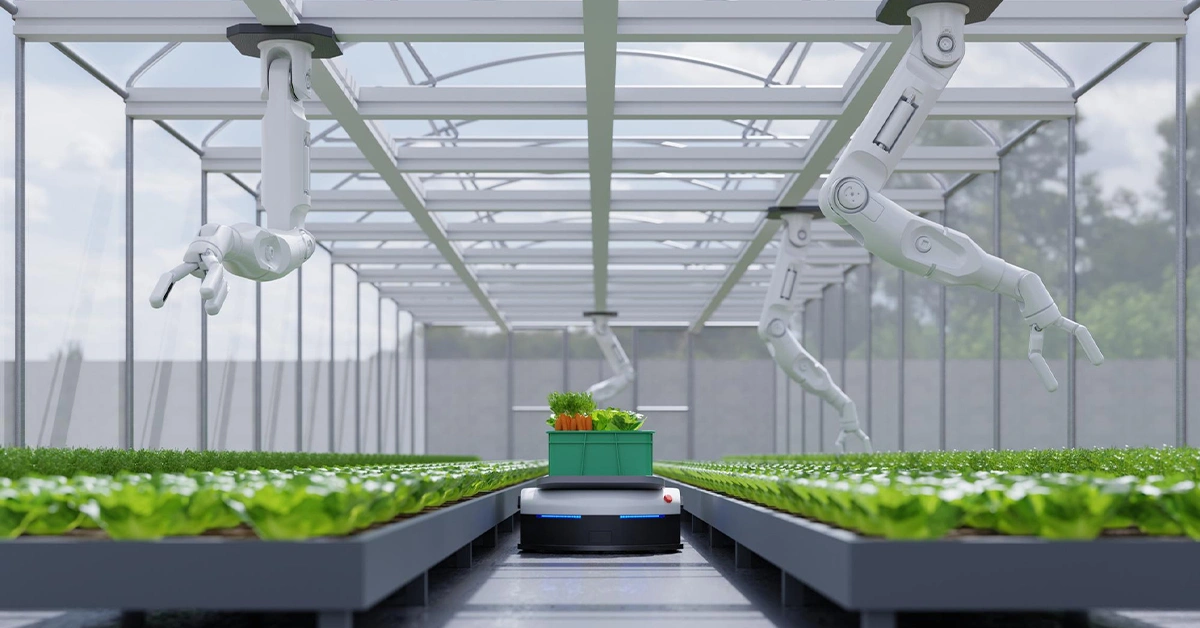 Mô hình sản xuất nông nghiệp