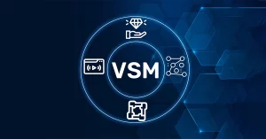 VSM